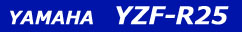 YAMAHA YZF-R25